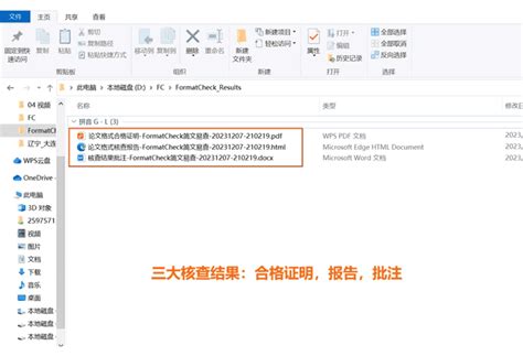 Check File Format 的图像结果