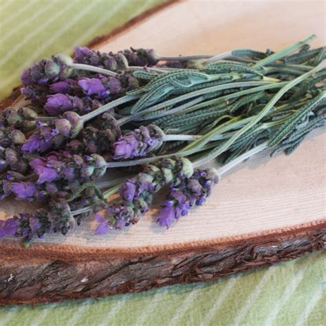 Edible Flowers – Page 2 – Gourmet Sweet Botanicals