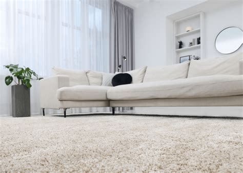 A Comprehensive Guide to Choosing the Perfect Carpet Colour | Best4Flooring