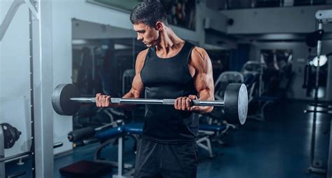 Image result for Musculation Dos