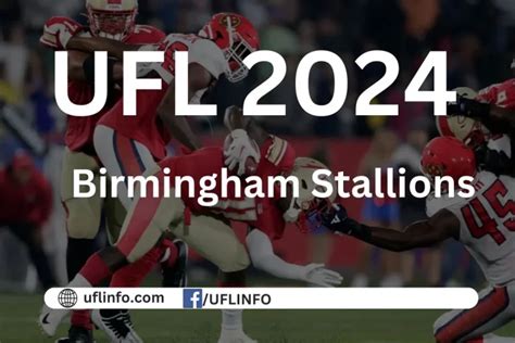 The United Football League UFL Teams A Look at All Eight Teams - UFL INFO
