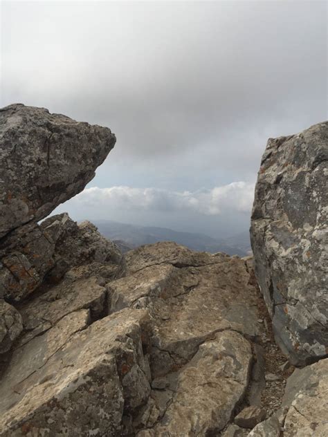 Image result for EzCoin Software