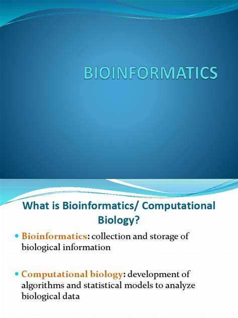 Bioinformatics Basic 的图像结果