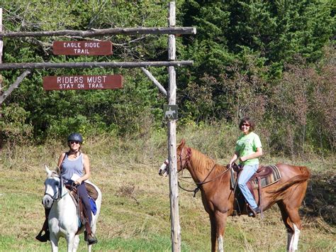 Discover Equine Paradise at Eagle Ridge Campground | Top Horse Trails