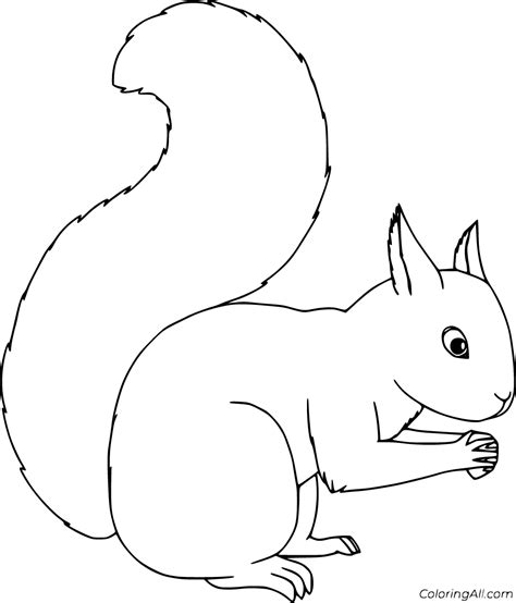 Squirrel Outline Coloring Page
