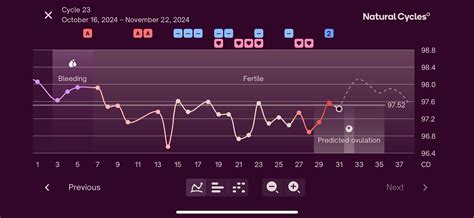 Menstrual Cycle After Miscarriage Ovulation & Fertility During