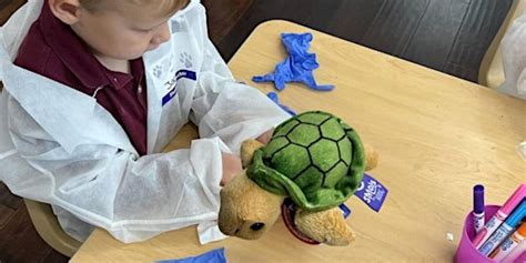 Marine Biologists Summer Camp Ages 6-11 at Edgemont NW Calgary ...