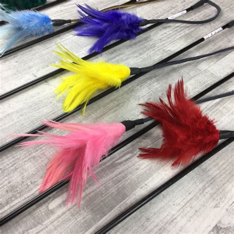 Feathers on a Leather String Cat Teaser Toy – catboutiquenet