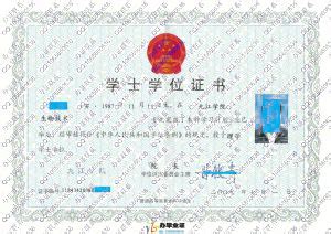 九江学院历届毕业证图片样本大全-胡杨树样本网