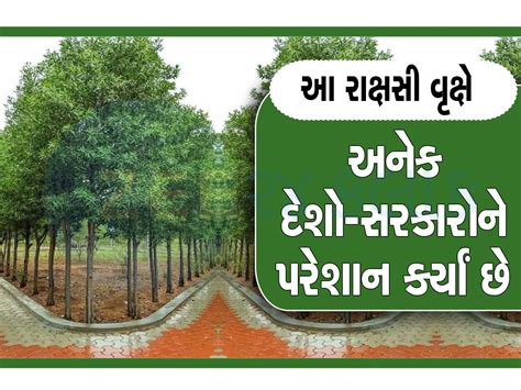 breaking news gujarat forest department ban on cultivation of dangerous ...