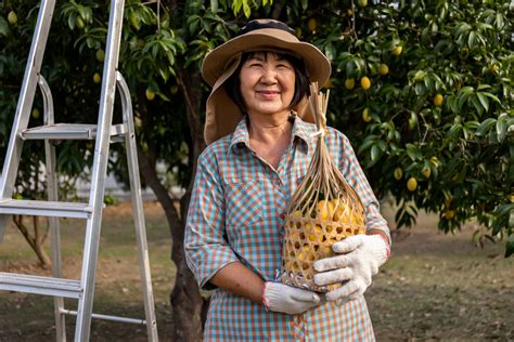 Organic Agriculture in Vietnam: A Tale of Happy Farmers - Visimex