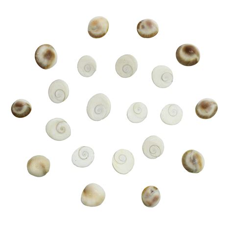 Buy The Holy Mart Gomati Chakra Small Size (Set of 21), Gomatichakra ...