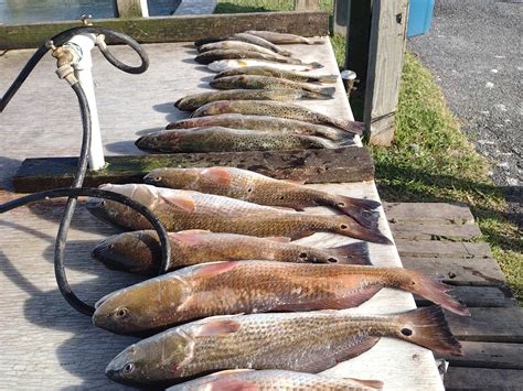 DRIFT WATER CHARTERS (2026) All You SHOULD Know Before Going (with Photos)