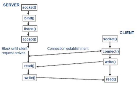 Computer Network Programming 的图像结果