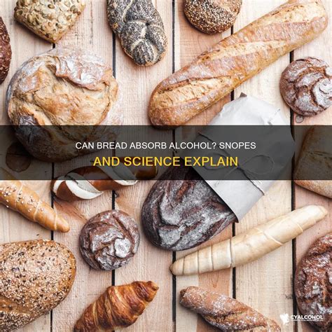 Can Bread Absorb Alcohol? Snopes And Science Explain | CyAlcohol