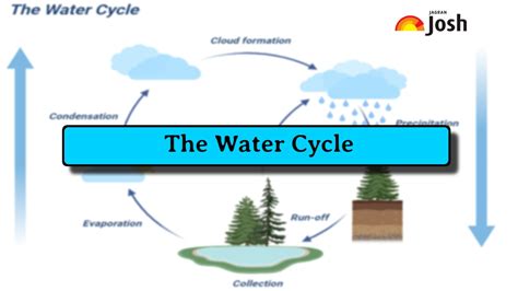 Water Cycle: Process, Stages and Diagram