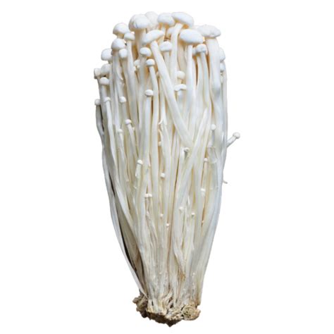 Slyce - Gourmet Grocery Store | Buy Gourmet Foods Online