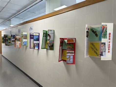 THE ENGLISH CLASSROOM BY MªJOSÉ MUELA: OUR "WILD ANIMALS LAPBOOKS ...