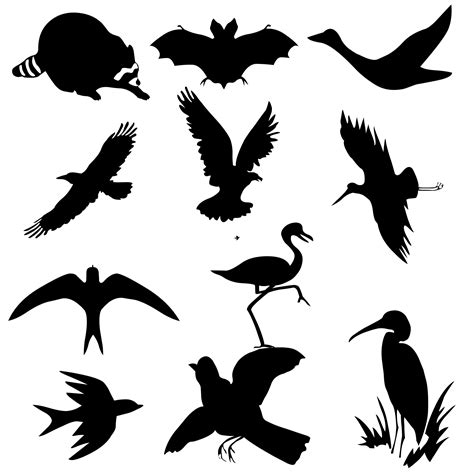 Birds Silhouettes Free Stock Photo - Public Domain Pictures