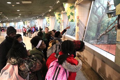 Delphi Matrix 的图像结果