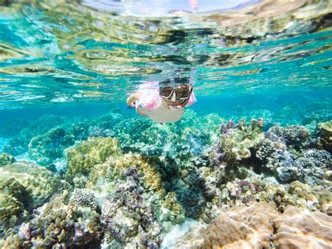 Travelonama - India's best backpacking community adventure travel company.