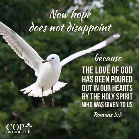 Romans 5:5 Now hope does not disappoint, because the love of God has ...