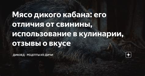 Мясо дикого кабана: его отличия от свинины, использование в кулинарии ...