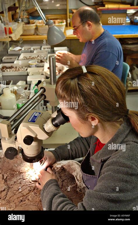 Paleontologists 的图像结果