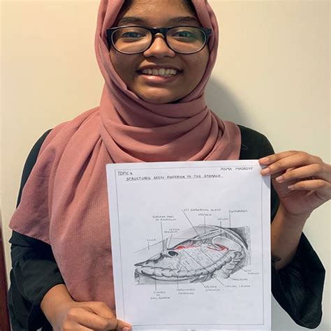 Thieme Dissector –Review