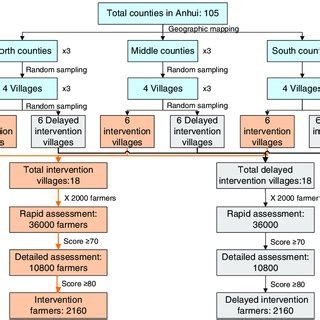 Image result for Randomization Sampling UK