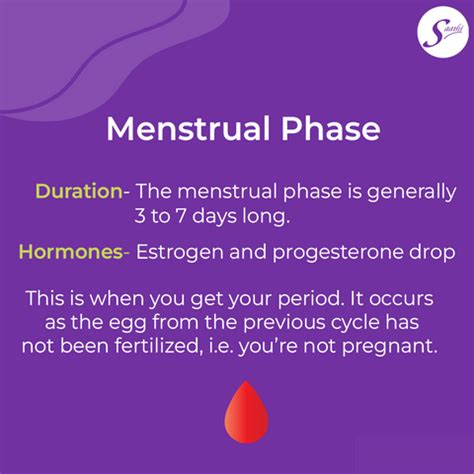 Did you know there are 4 menstrual phases? – Saathi: Eco-friendly, period