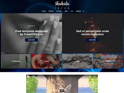 Image result for HTML Blog Website