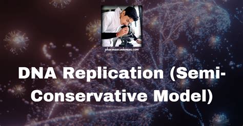 Semi Conservative DNA Replication Model Project 的图像结果