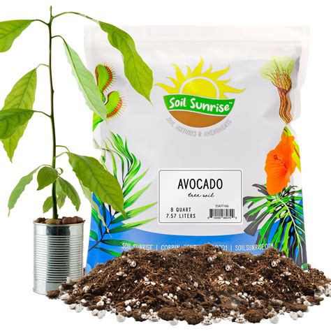 Avocado Tree Potting Soil Mix (8 Quarts), for Germinating, Growing and ...