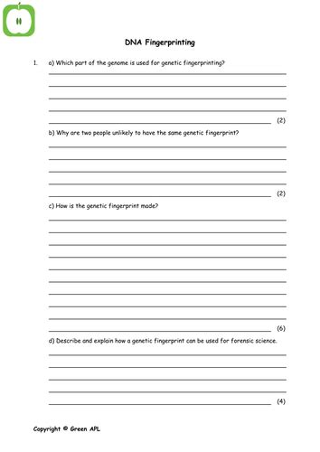 Image result for DNA Fingerprinting Lab Worksheet Printable