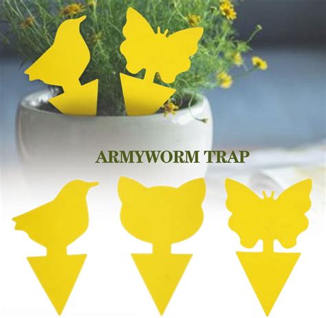 Buy HOTBEST 30/60Pcs Plug-In Fly Trap, Double-Sided Sticky Fly Trap ...