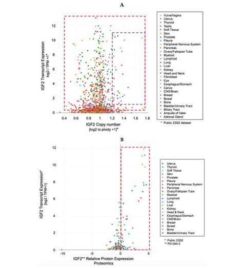 Autocrine IGF-II-Associated Cancers: From a Rare Paraneoplastic Event ...