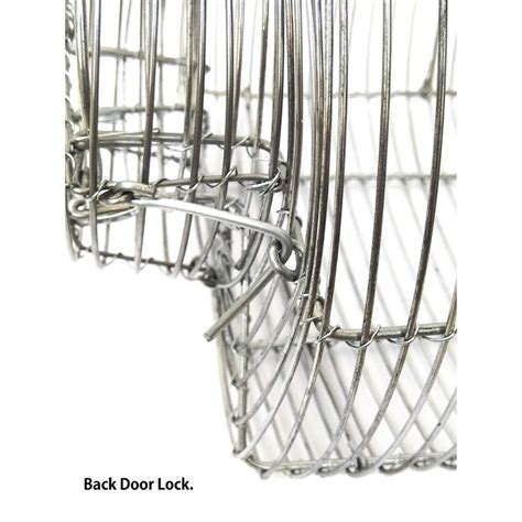 Galvanized Heavy Iron Wire Rat Trap Cage / Chuha Pinjra for Catching R ...