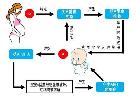 o型血和a型血生的孩子会溶血吗-有来医生