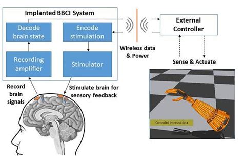 Science Brain Computer Interface 的图像结果