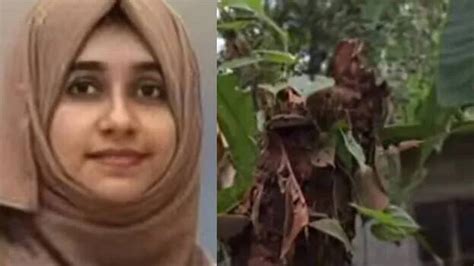 Woman dies after coconut tree falls on her while feeding baby - KERALA ...