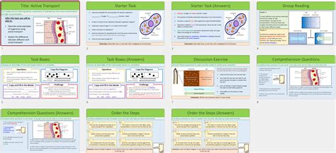 Image result for Active Transport Video Example