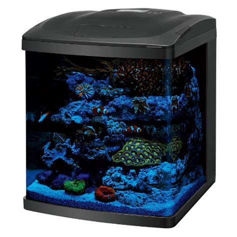 Image result for Biocube Maintenance Tips