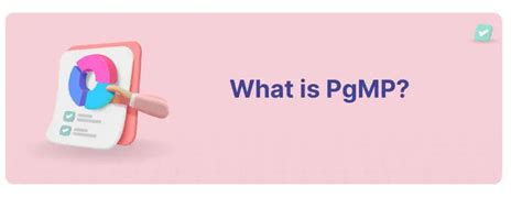 PgMP Process 的图像结果