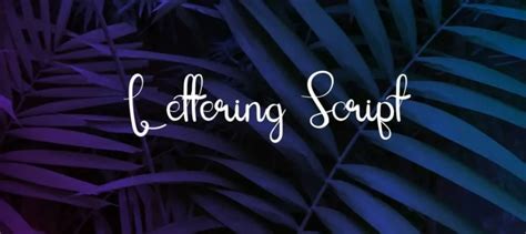 Script Lettering Fonts 的图像结果