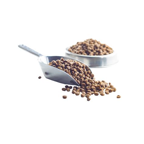 Petz.ae: Premium Cat Air Dried Food in Dubai