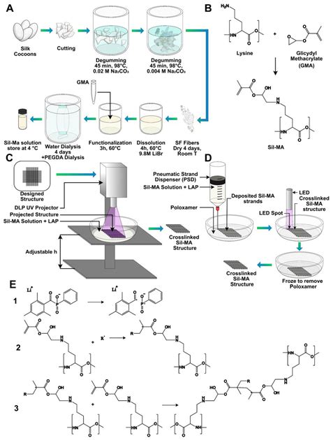 Methacrylated Silk Fibroin Additive Manufacturing of Shape Memory ...