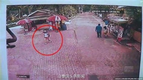 泰虎园失踪中国女游客被找到 身上无明显伤痕|泰国|游客_新浪新闻
