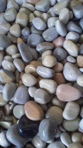 Stone Pebbles - Natural Stone Pebbles Trader - Retailer from Chennai