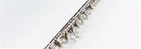 Image result for Flute Stringed Instruments